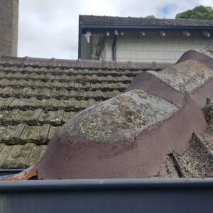 Roof Repair Project in Mont Albert North, VIC