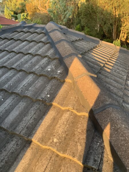 Roof Repair Work in Box Hill VIC